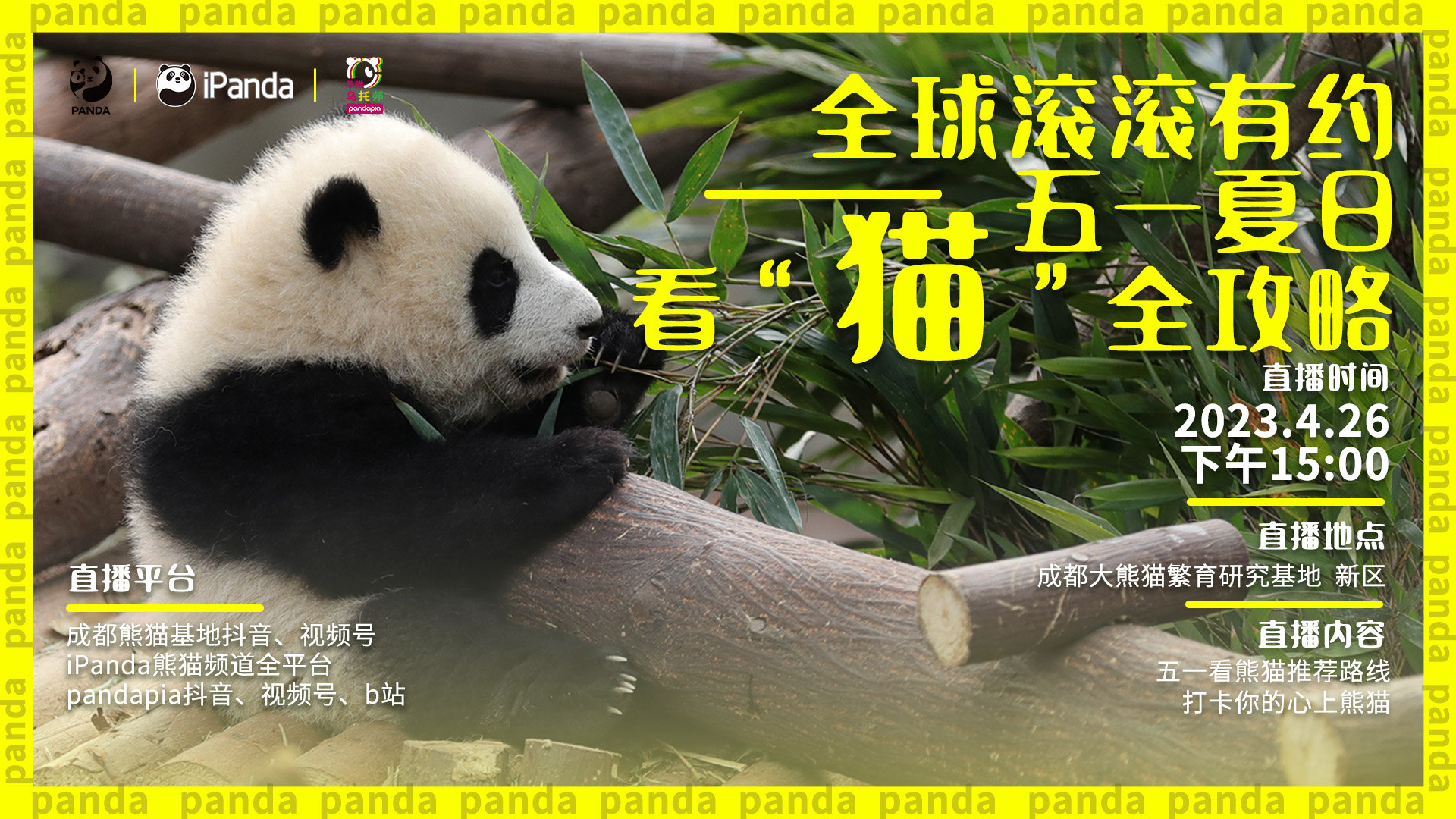 熊猫看剧官方客户端熊猫免费小说app下载