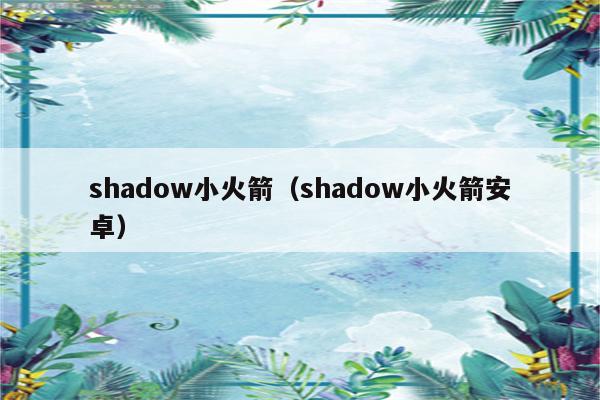 shadowrsock安卓版shadowrocket官网入口-第2张图片-太平洋在线下载