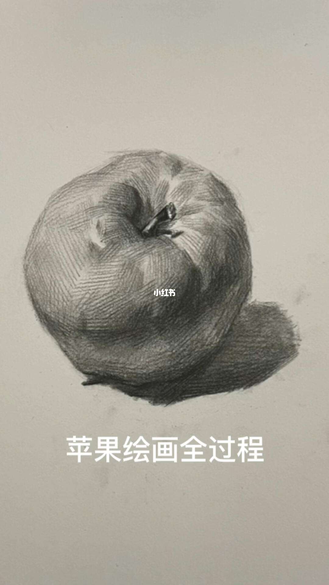 画素描版的苹果素描画苹果的步骤图片