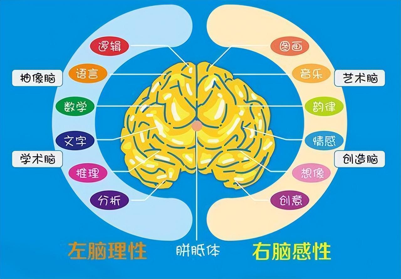 客户端开发右脑右脑开发培训班有用吗-第1张图片-太平洋在线下载