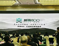 屏南牌手机版古田三副屏南牌官方下载
